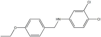 3,4-dichloro-N-[(4-ethoxyphenyl)methyl]aniline 结构式