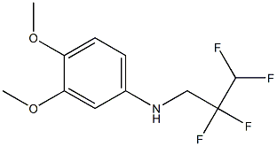 3,4-dimethoxy-N-(2,2,3,3-tetrafluoropropyl)aniline 结构式