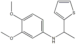 3,4-dimethoxy-N-[1-(thiophen-2-yl)ethyl]aniline 结构式