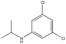 3,5-dichloro-N-(propan-2-yl)aniline 结构式