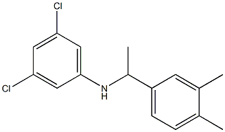 3,5-dichloro-N-[1-(3,4-dimethylphenyl)ethyl]aniline 结构式