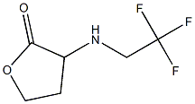 3-[(2,2,2-trifluoroethyl)amino]oxolan-2-one 结构式