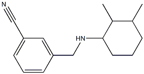 3-{[(2,3-dimethylcyclohexyl)amino]methyl}benzonitrile 结构式