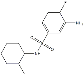 3-amino-4-fluoro-N-(2-methylcyclohexyl)benzene-1-sulfonamide 结构式