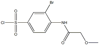 3-bromo-4-(2-methoxyacetamido)benzene-1-sulfonyl chloride 结构式