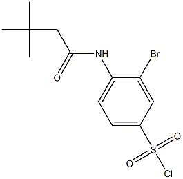 3-bromo-4-(3,3-dimethylbutanamido)benzene-1-sulfonyl chloride 结构式