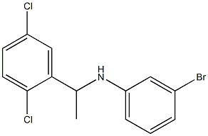 3-bromo-N-[1-(2,5-dichlorophenyl)ethyl]aniline 结构式