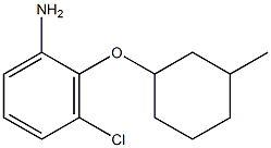 3-chloro-2-[(3-methylcyclohexyl)oxy]aniline 结构式