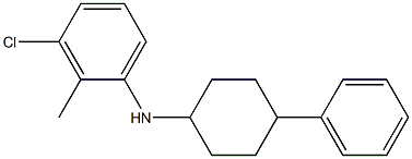 3-chloro-2-methyl-N-(4-phenylcyclohexyl)aniline 结构式