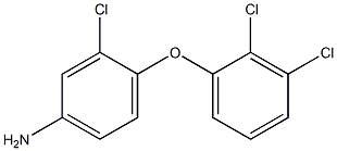 3-chloro-4-(2,3-dichlorophenoxy)aniline 结构式