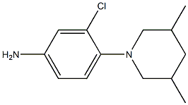 3-chloro-4-(3,5-dimethylpiperidin-1-yl)aniline 结构式