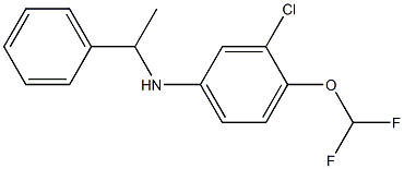 3-chloro-4-(difluoromethoxy)-N-(1-phenylethyl)aniline 结构式