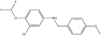 3-chloro-4-(difluoromethoxy)-N-[(4-methoxyphenyl)methyl]aniline 结构式
