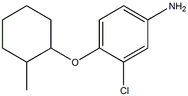3-chloro-4-[(2-methylcyclohexyl)oxy]aniline 结构式