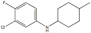 3-chloro-4-fluoro-N-(4-methylcyclohexyl)aniline 结构式