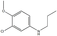 3-chloro-4-methoxy-N-propylaniline 结构式