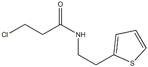 3-chloro-N-(2-thien-2-ylethyl)propanamide 结构式
