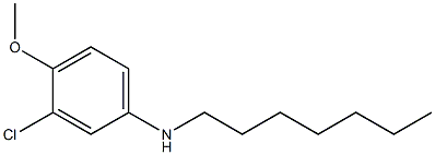 3-chloro-N-heptyl-4-methoxyaniline 结构式