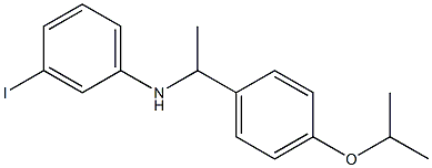 3-iodo-N-{1-[4-(propan-2-yloxy)phenyl]ethyl}aniline 结构式