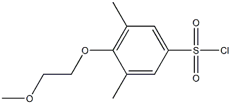 4-(2-methoxyethoxy)-3,5-dimethylbenzene-1-sulfonyl chloride 结构式