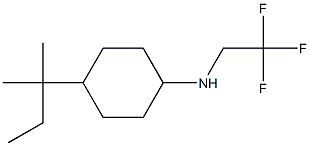 4-(2-methylbutan-2-yl)-N-(2,2,2-trifluoroethyl)cyclohexan-1-amine 结构式