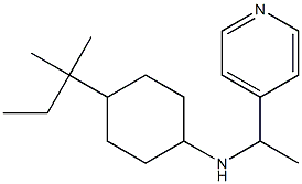 4-(2-methylbutan-2-yl)-N-[1-(pyridin-4-yl)ethyl]cyclohexan-1-amine 结构式