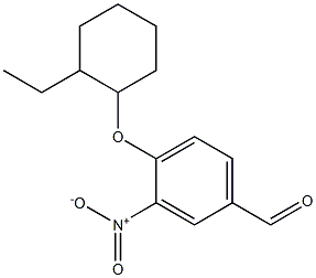 4-[(2-ethylcyclohexyl)oxy]-3-nitrobenzaldehyde 结构式