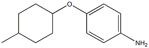4-[(4-methylcyclohexyl)oxy]aniline 结构式