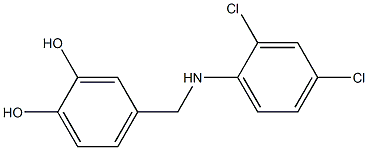 4-{[(2,4-dichlorophenyl)amino]methyl}benzene-1,2-diol 结构式