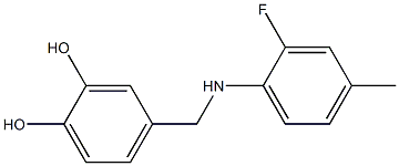 4-{[(2-fluoro-4-methylphenyl)amino]methyl}benzene-1,2-diol 结构式