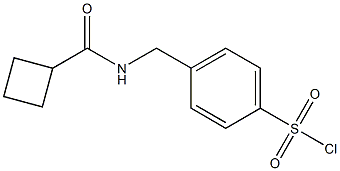4-{[(cyclobutylcarbonyl)amino]methyl}benzenesulfonyl chloride 结构式