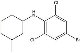 4-bromo-2,6-dichloro-N-(3-methylcyclohexyl)aniline 结构式