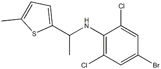 4-bromo-2,6-dichloro-N-[1-(5-methylthiophen-2-yl)ethyl]aniline 结构式