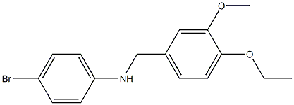 4-bromo-N-[(4-ethoxy-3-methoxyphenyl)methyl]aniline 结构式