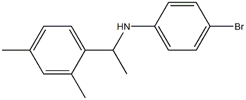 4-bromo-N-[1-(2,4-dimethylphenyl)ethyl]aniline 结构式
