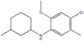 4-chloro-2-methoxy-5-methyl-N-(3-methylcyclohexyl)aniline 结构式