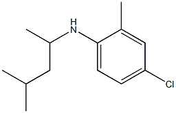 4-chloro-2-methyl-N-(4-methylpentan-2-yl)aniline 结构式