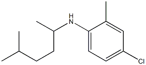 4-chloro-2-methyl-N-(5-methylhexan-2-yl)aniline 结构式