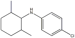 4-chloro-N-(2,6-dimethylcyclohexyl)aniline 结构式