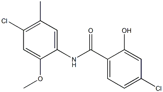 4-chloro-N-(4-chloro-2-methoxy-5-methylphenyl)-2-hydroxybenzamide 结构式