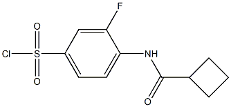 4-cyclobutaneamido-3-fluorobenzene-1-sulfonyl chloride 结构式