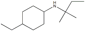 4-ethyl-N-(2-methylbutan-2-yl)cyclohexan-1-amine 结构式