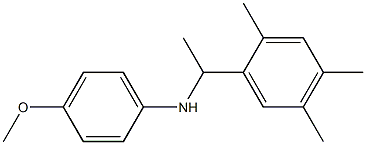 4-methoxy-N-[1-(2,4,5-trimethylphenyl)ethyl]aniline 结构式