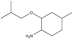 4-methyl-2-(2-methylpropoxy)cyclohexan-1-amine 结构式