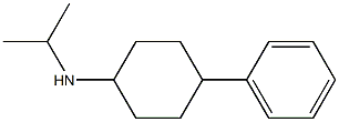 4-phenyl-N-(propan-2-yl)cyclohexan-1-amine 结构式