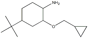 4-tert-butyl-2-(cyclopropylmethoxy)cyclohexan-1-amine 结构式