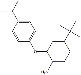 4-tert-butyl-2-[4-(propan-2-yl)phenoxy]cyclohexan-1-amine 结构式