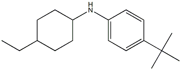 4-tert-butyl-N-(4-ethylcyclohexyl)aniline 结构式