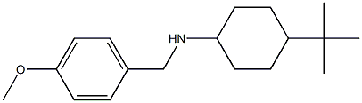 4-tert-butyl-N-[(4-methoxyphenyl)methyl]cyclohexan-1-amine 结构式