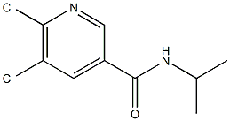 5,6-dichloro-N-(propan-2-yl)pyridine-3-carboxamide 结构式